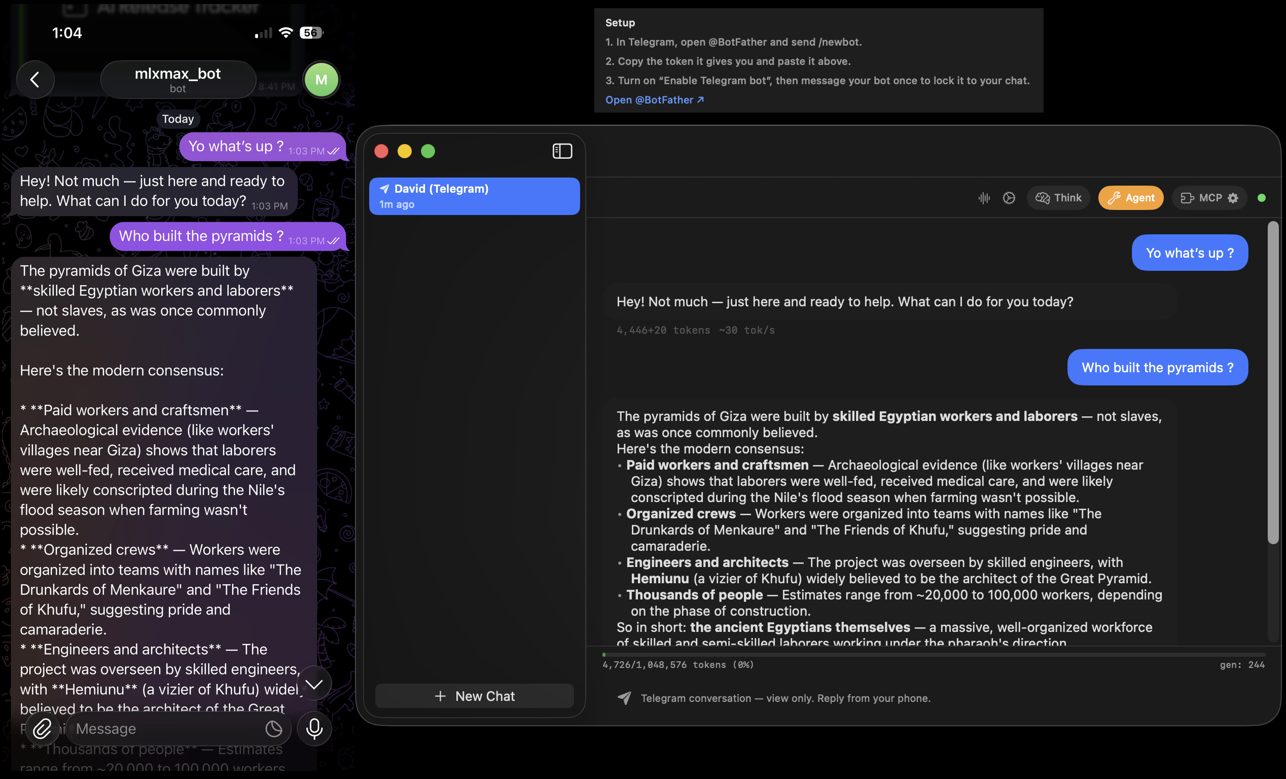 A Telegram conversation with a local model running on a Mac at home